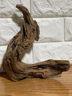 釣りバカ様 リクエスト 3点 まとめ商品