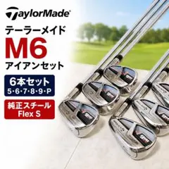 2026年最新】テーラーメイド m6 5番アイアンの人気アイテム - メルカリ