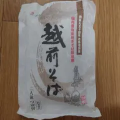 武生製麺 和紙越前そば2人前　越前そば 二人前 つゆ付