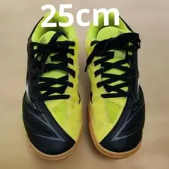 卓球用シューズ25cm