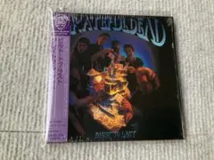 Grateful Dead グレイトフル・デッド★ビルト・トゥ・ラスト 紙ジャケ