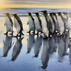 2026年 ⭐️壁掛け・卓上カレンダー⭐️