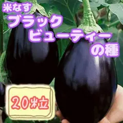 ishigami12321様 リクエスト 4点 まとめ商品