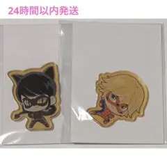 ミラキュラス アクリルステッカー ミスターバグ レディノワール 2個セット