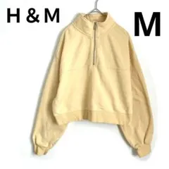 Item thumbnail for item 385ea1d5-1eee-4858-9883-4eaa7cda1f74