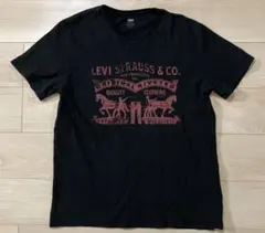 Levi’s tシャツ　古着　半袖