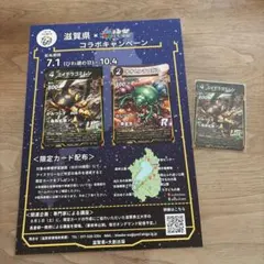 蟲神器 滋賀県プロモ ミイデラゴミムシ2枚セット 虫神器 - メルカリ