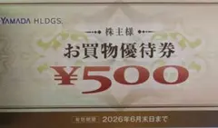 YAMADA HLDGS. お買物優待券 500円 10枚