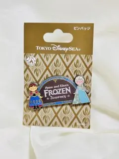 東京ディズニーランド クリスマスファンタジー 2006 ピンバッジ - メルカリ