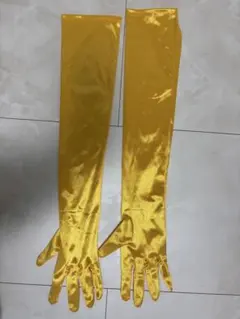 ディズニー コスプレ衣装 セット