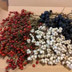 野ばらの実・ナンキンハゼの実・シャリンバイの実ドライのセット【083】