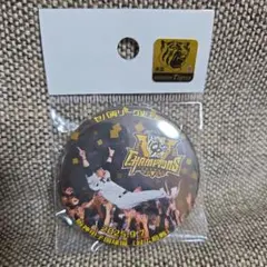 阪神タイガース　2025優勝記念　缶バッジ　胴上げVer.　Bタイプ