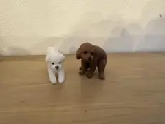 ふんばりーぬ　ふんばり〜ぬ　トイプードルセット品
