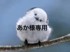 あか様専用 #602
