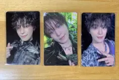 SEVENTEEN セブチ ディノ HBD 本国ラキドロ 3枚セット