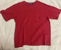 POLO Ralph Lauren Tシャツ sサイズ