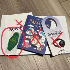 newjeans 2023 シーグリ　ルームキーのみ