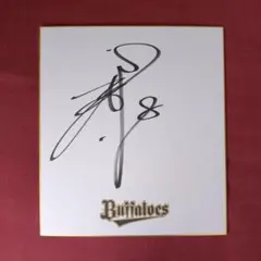 2025年最新】中日ドラゴンズ サイン色紙の人気アイテム - メルカリ