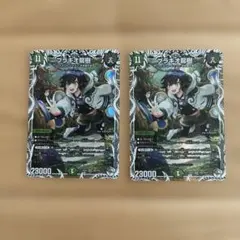 ブラキオ龍樹 ブラキオドランジュ キャラプレミアムトレジャー 2枚