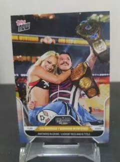 アッシュ様 リクエスト 2点 まとめ商品