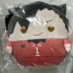 ハイキュー ぬいくじ くじメイト C賞 ふわコロりん Mサイズ 黒尾鉄朗