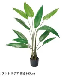 定価3.6万 本物そっくりストレチア大物フェイクグリーンモンステラ 