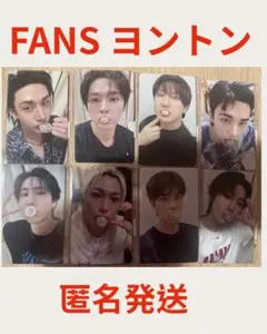 StrayKids FANS ヨントン　KARMA コンプ8枚セット