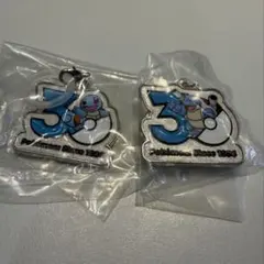 【新品未使用】ポケモン 30周年 メタルチャーム ゼニガメ カメックス