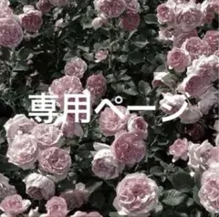 うひょー様専用