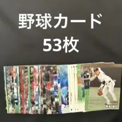 野球 BBM カルビー カード 53枚