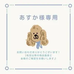 あすか様 リクエスト 2点 まとめ商品