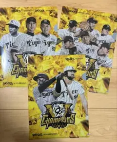 阪神タイガース 優勝記念クリアファイル　勝負師　勝利の方程式　渾身のフルスイング