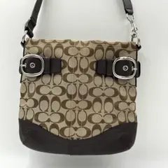 美品】COACH ソーホー パッチワーク Y2K 茶 パイソン型押し - メルカリ