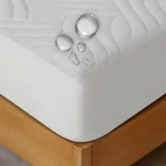 Item thumbnail for item 9d372305-b439-4cfc-8973-91cd54f08839