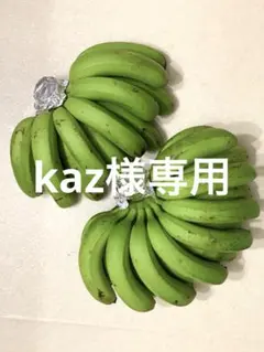 kaz様専用