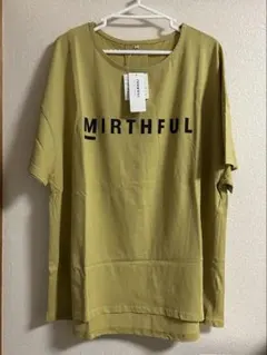 新品未使用タグ付き　ノアンヌ　半袖Tシャツ 5L