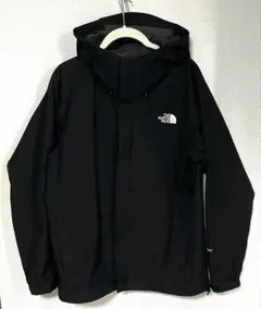 THE NORTH FACE GORE-TEXマウンテンパーカー M