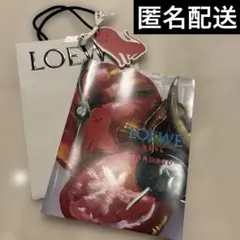 LOEWE 180 Years of Craft カタログ ショッパーのサムネイル