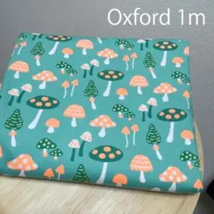 chamia様 リクエスト 2点 まとめ商品