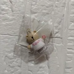 新品　2024サクラリユーザブルカップ専用　キャップ ベアリスタ