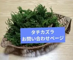 タチカズラ　フレシュ お問い合わせページ タチカズラ フレッシュ ご予約ページ - メルカリ