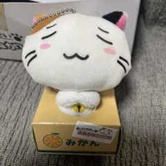 hongama ホンガマ ゴースト キャット ネコ ねこ 猫 cat 陶器 - メルカリ
