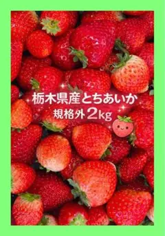 ⭐︎いちご農家より直送！とちあいか　規格外詰め合わせ　4kg 送料込⭐︎ No.11 ⭐︎いちご農家より直送！とちあいか 規格外詰め合わせ 4kg 送料込