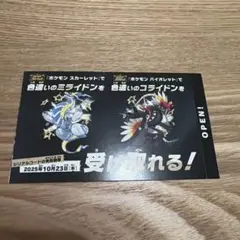 ポケモン　色違い　ミライドン　コライドン