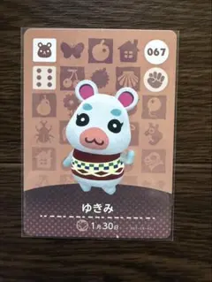 《匿名配送》amiiboカード　ゆきみ