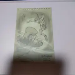 とりねこ様 リクエスト 2点 まとめ商品