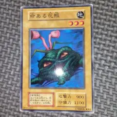 遊戯王 青虫 ノーマル ARS10 遊戯王OCG 青虫 初期 ノーマル - メルカリ