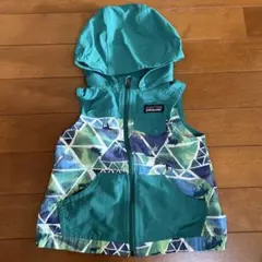 patagonia ベスト