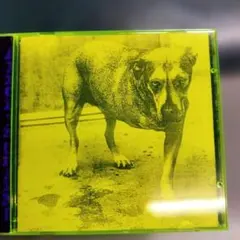 Alice In Chains - Alice In Chains