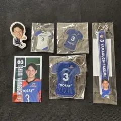 2025年最新】東レアローズの人気アイテム - メルカリ